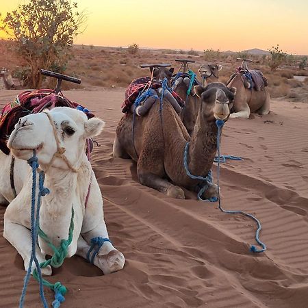 Desert Bivouac Mhamid 모하미드 외부 사진