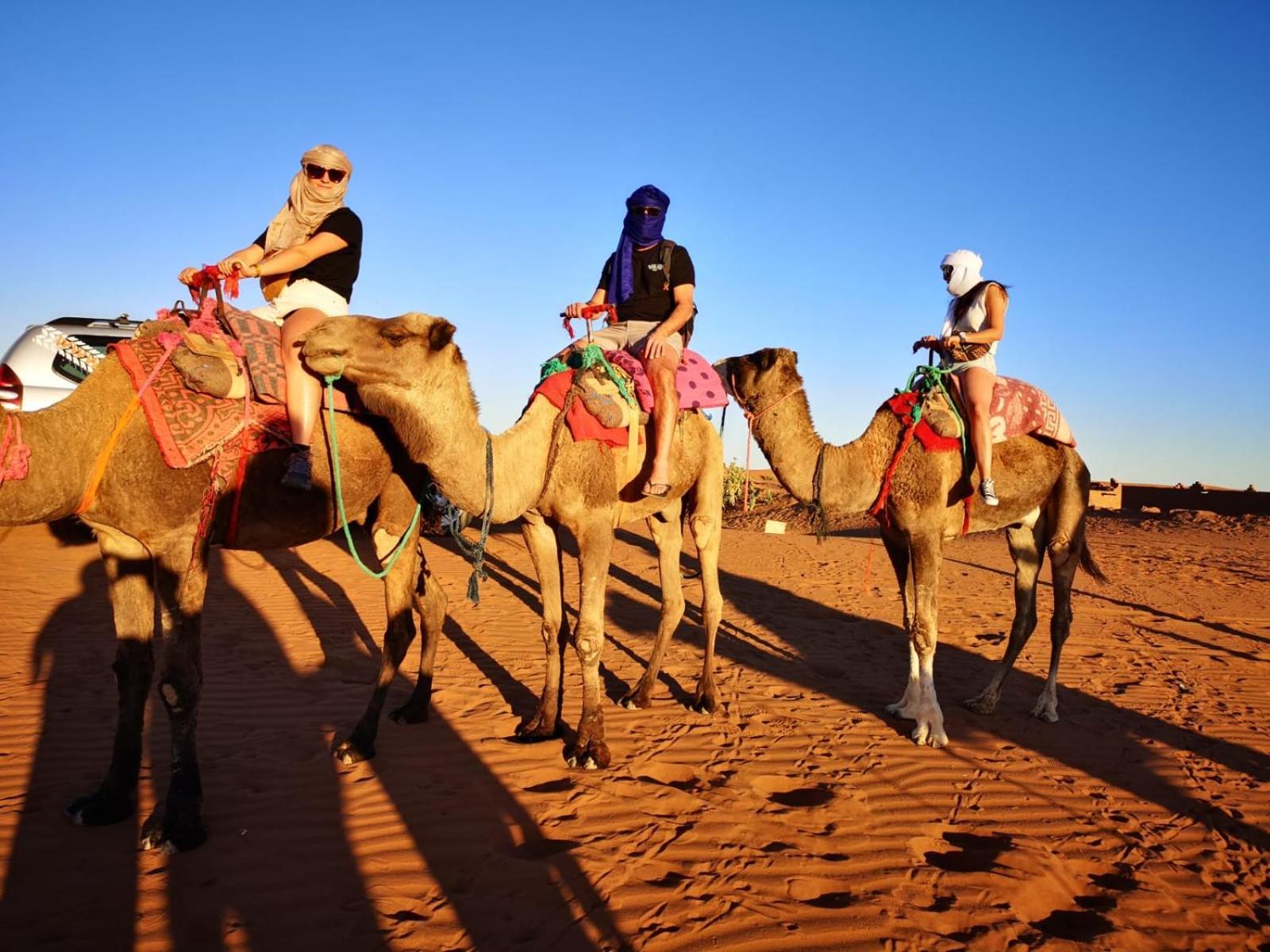 Desert Bivouac Mhamid 모하미드 외부 사진