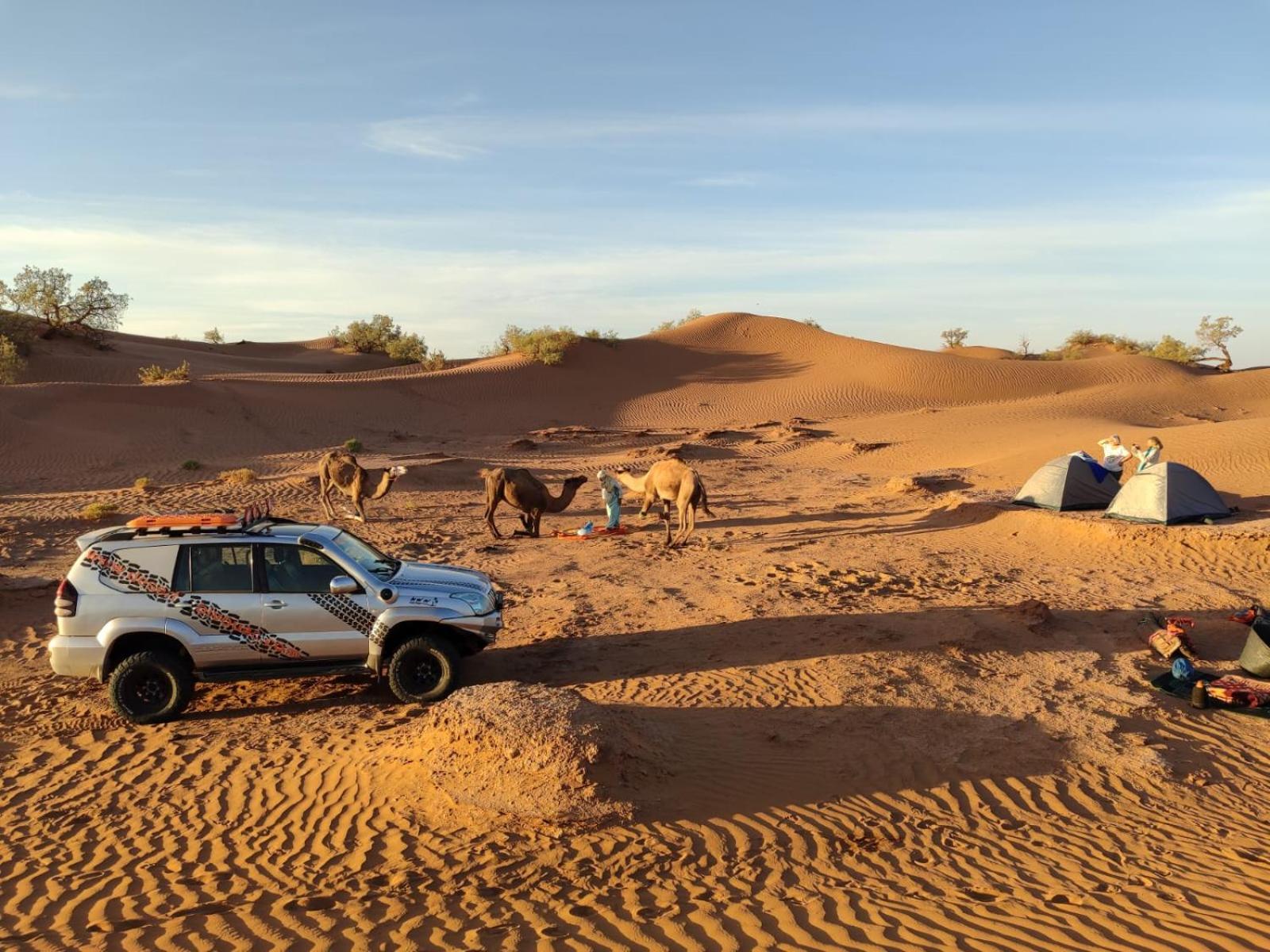 Desert Bivouac Mhamid 모하미드 외부 사진