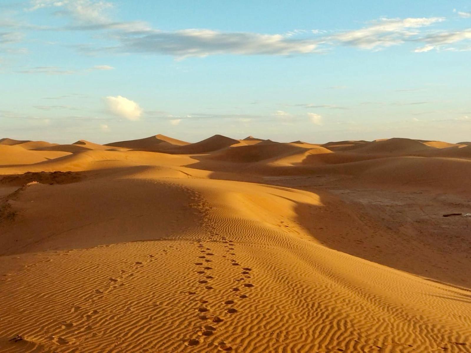 Desert Bivouac Mhamid 모하미드 외부 사진